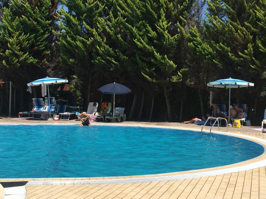 Camping Paradiso Виареджо Екстериор снимка